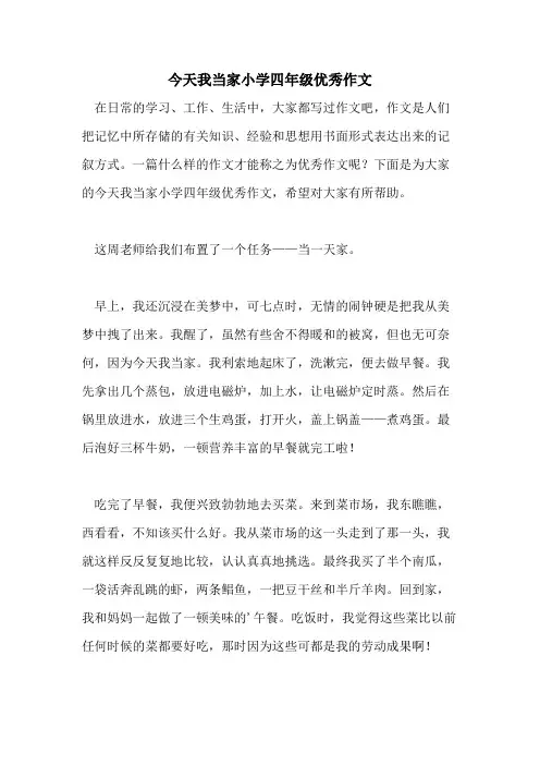 今天我当家小学四年级优秀作文