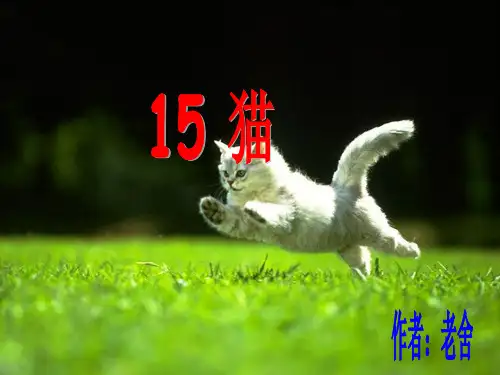 15.《猫》第二课时PPT课件