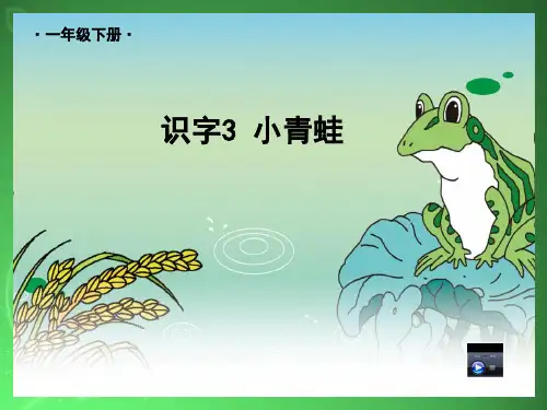 新版一年级下册 识字 3.小青蛙 人教部编版 (共12张PPT)