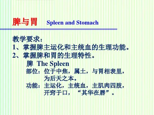 中医学:脾与胃 脾与胃辨证
