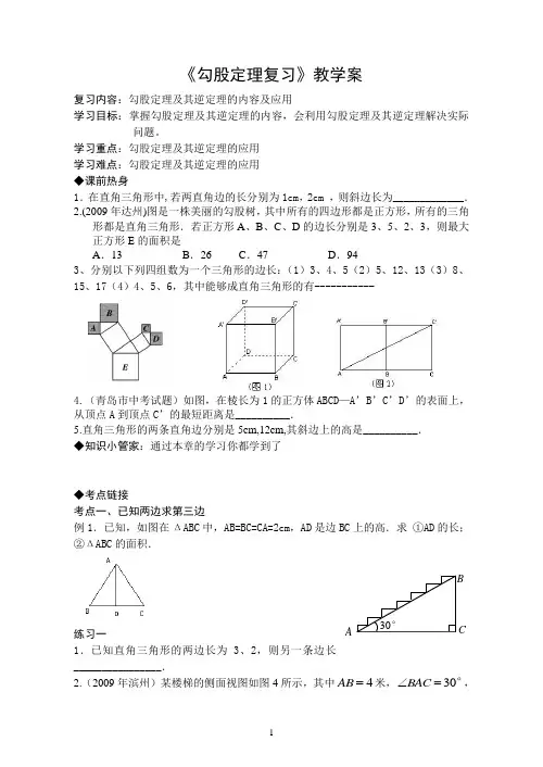 《勾股定理复习》教学案