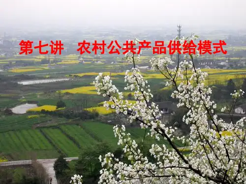 第七讲：农村公共产品供给模式