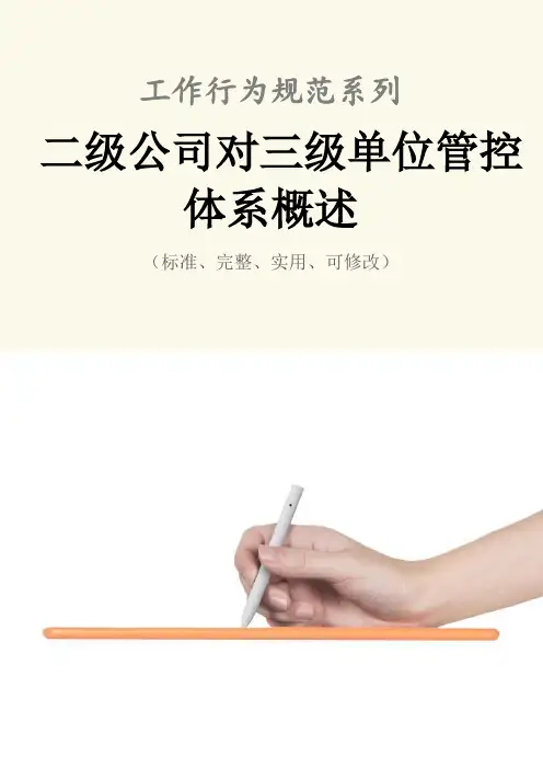 二级公司对三级单位管控体系概述