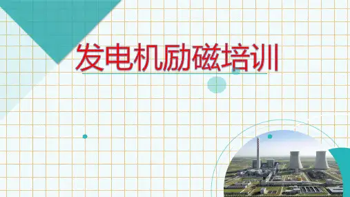 发电机的异常运行