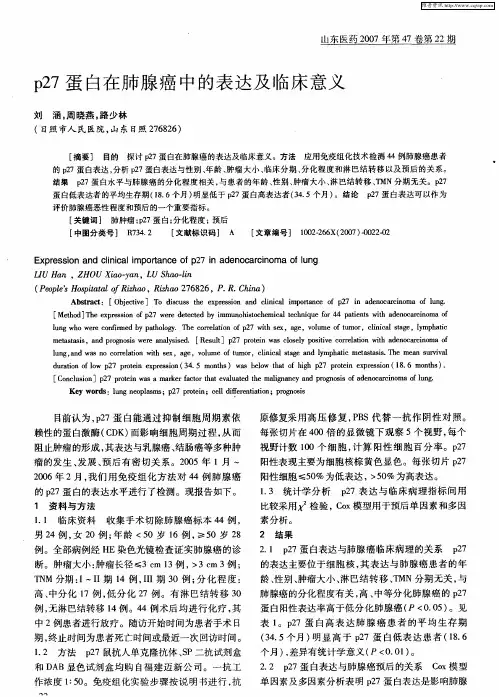 p27蛋白在肺腺癌中的表达及临床意义