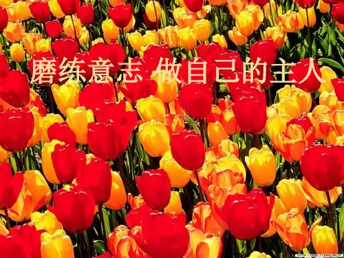 磨练意志主题班会PPT课件