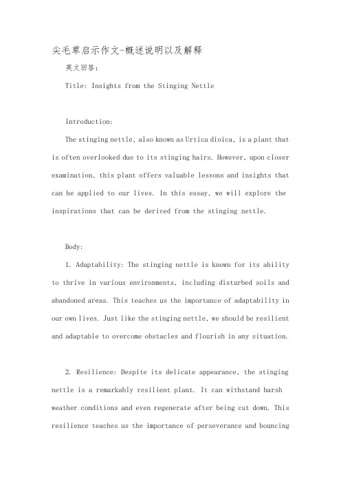 尖毛草启示作文