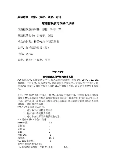 琼脂糖凝胶电泳操作步骤