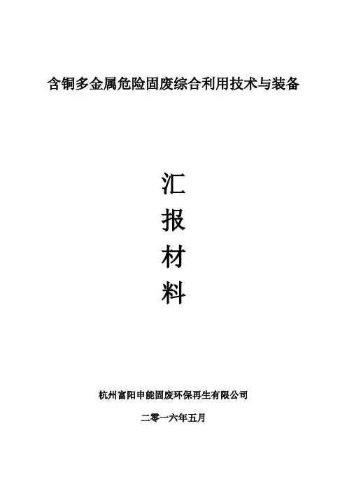 申能含铜多金属危险固废综合利用技术与装备汇报材料