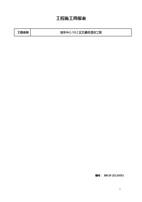 工程施工周报表__空白