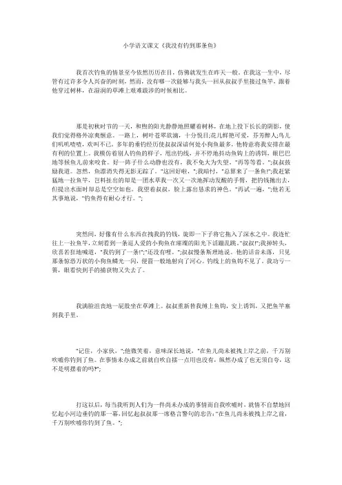小学语文课文《我没有钓到那条鱼》