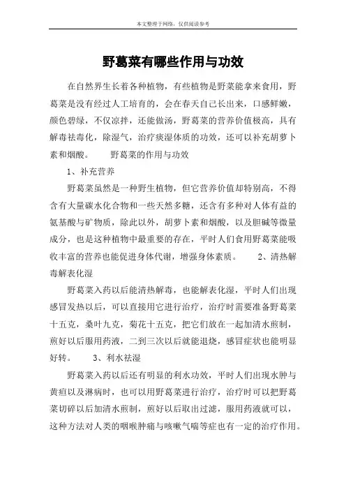 野葛菜有哪些作用与功效