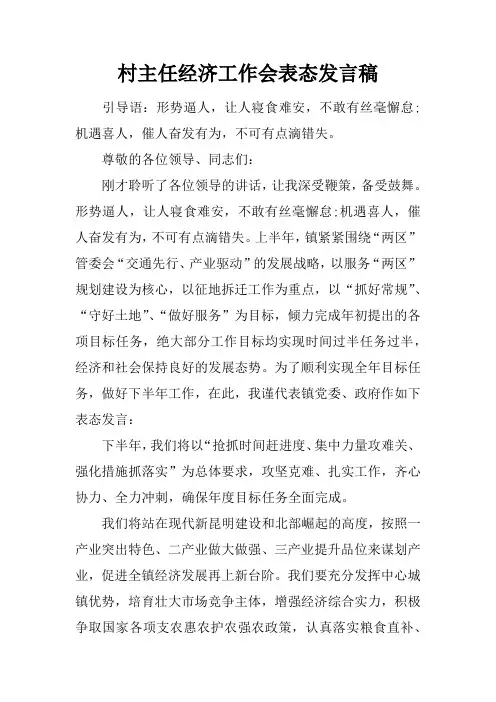 村主任经济工作会表态发言稿