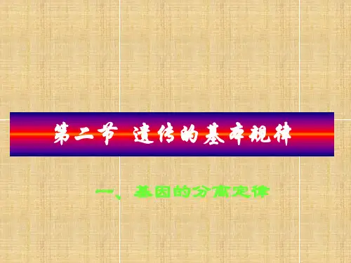 遗传的基本规律PPT课件