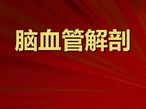 脑血管解剖图优质培训课件