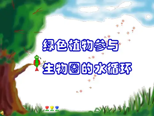 练习徒手切片