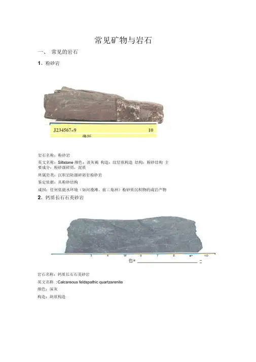 常见矿物与岩石