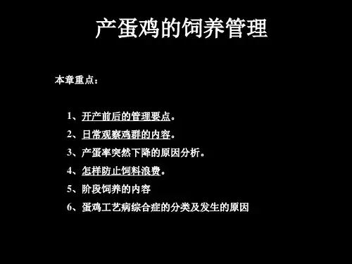 产蛋鸡的饲养管理PPT课件