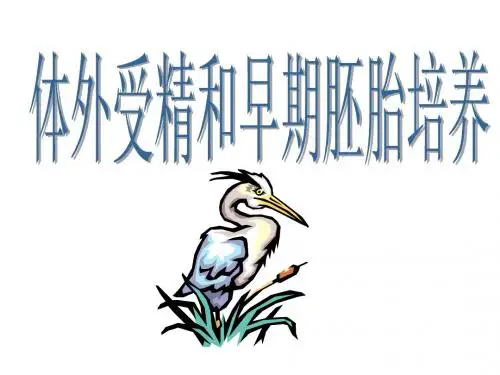 上课:3.2体外受精和早期胚胎培养