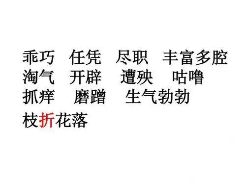 猫第二课时