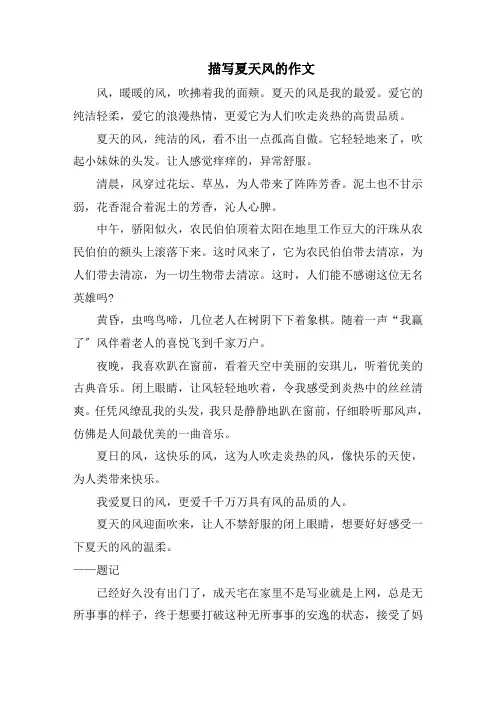 描写夏天风的作文精选
