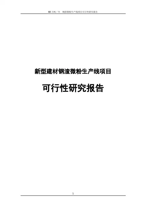 新型建材钢渣微粉生产线项目可行性研究报告