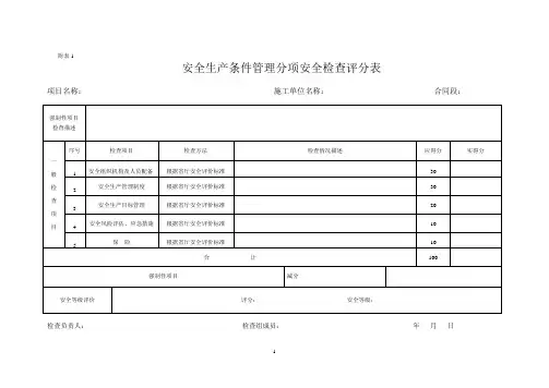 安全检查评分表()