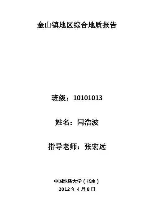 金山镇地区综合地质报告 闫浩波