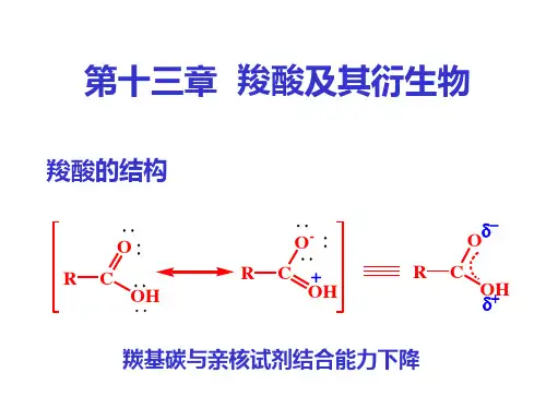 13 羧酸及其衍生物