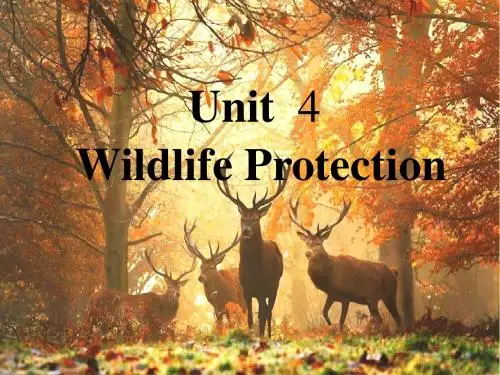 【最新】人教新课标英语必修二 Unit 4 Wildlife protection reading课件 (共21张PPT)