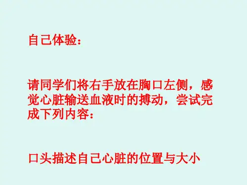心脏PPT课件