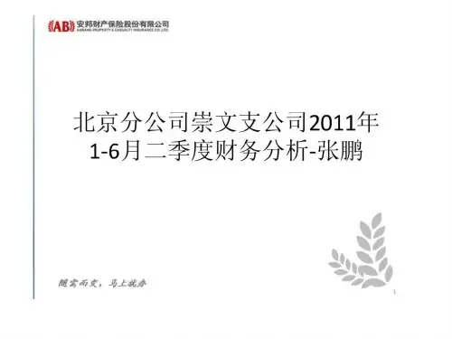 北京分公司崇文支公司2019年1-6月二季度财务分析-张鹏