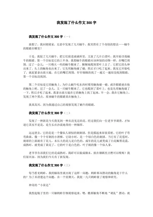 我发现了什么作文300字
