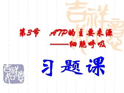 ATP的主要来源-细胞呼吸 习题课