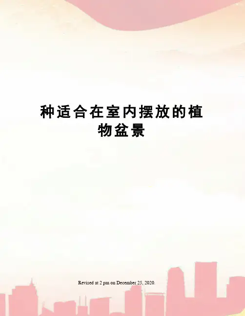种适合在室内摆放的植物盆景