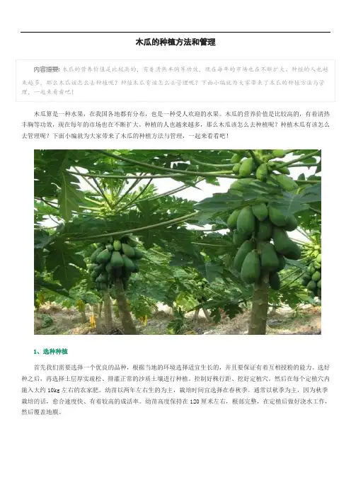 木瓜的种植方法和管理