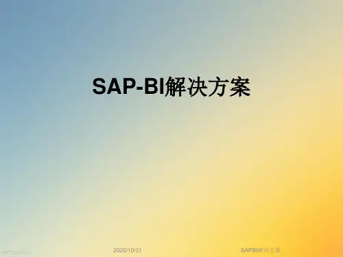 SAPBI解决方案