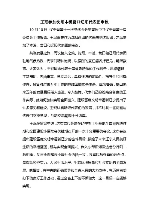 外省书记参加省会代表团审议的报道