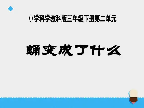 《蛹变成了什么》动物的生命周期2-教科版三年级科学下册PPT课件