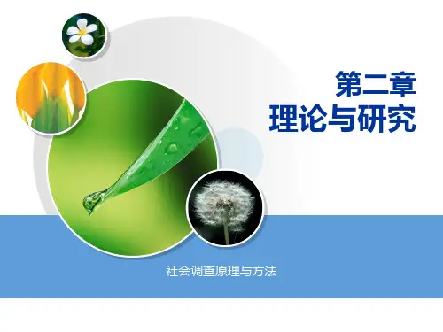 第二章 理论与研究