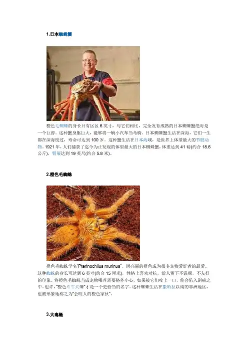 奇趣怪异的橙色动物有哪些
