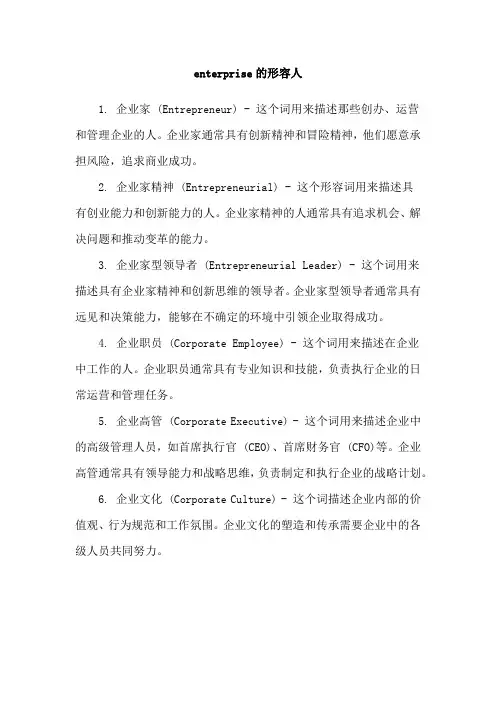 enterprise的形容人