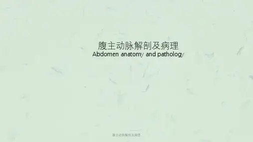腹主动脉解剖及病理课件