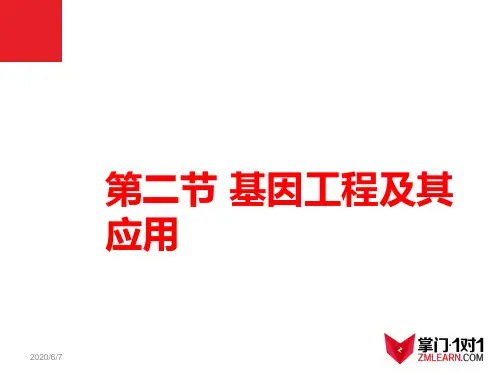 【人教版】高中生物必修二《 6.2 基因工程及其应用》课件1