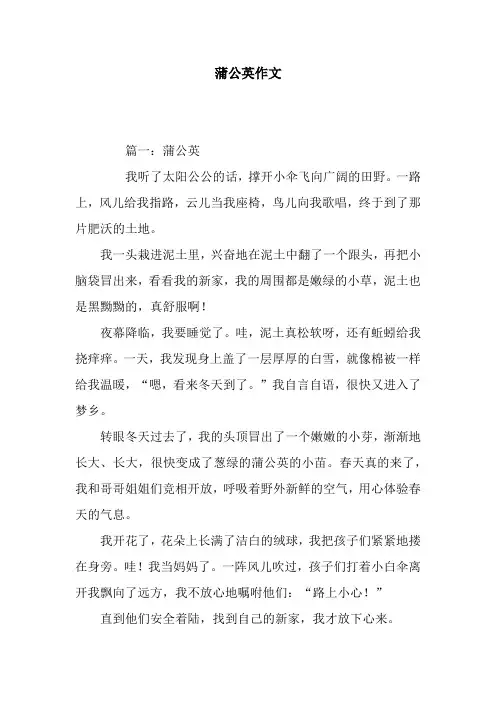 蒲公英作文