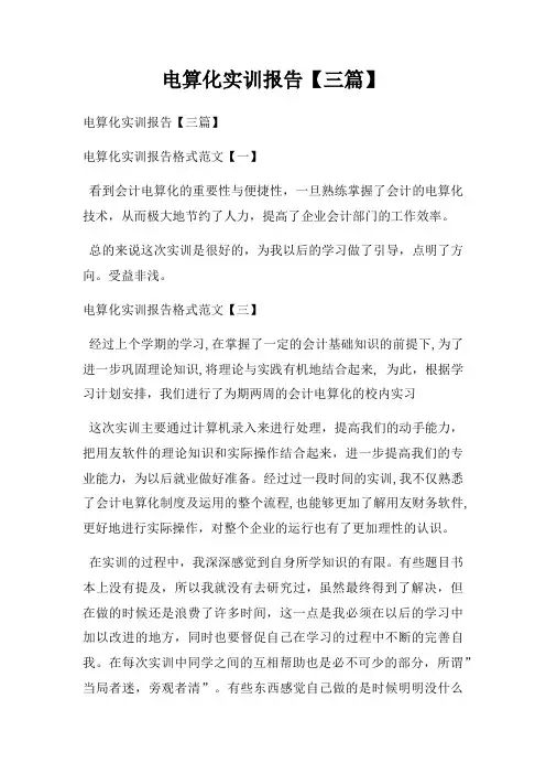 电算化实训报告【三篇】