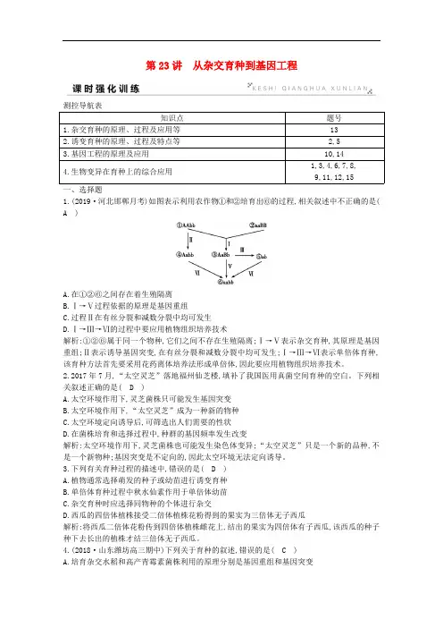 2020版高考生物总复习第23讲从杂交育种到基因工程训练含解析新人教