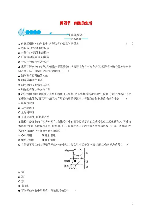 七年级生物上册  细胞的生活课后习题 新人教版