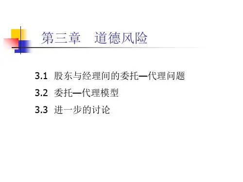 道德风险概述(PPT 37页)