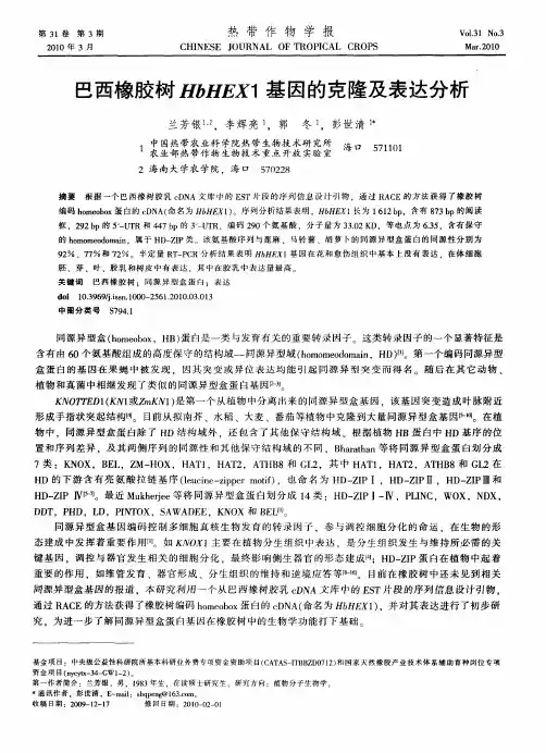 巴西橡胶树HbHEX1基因的克隆及表达分析